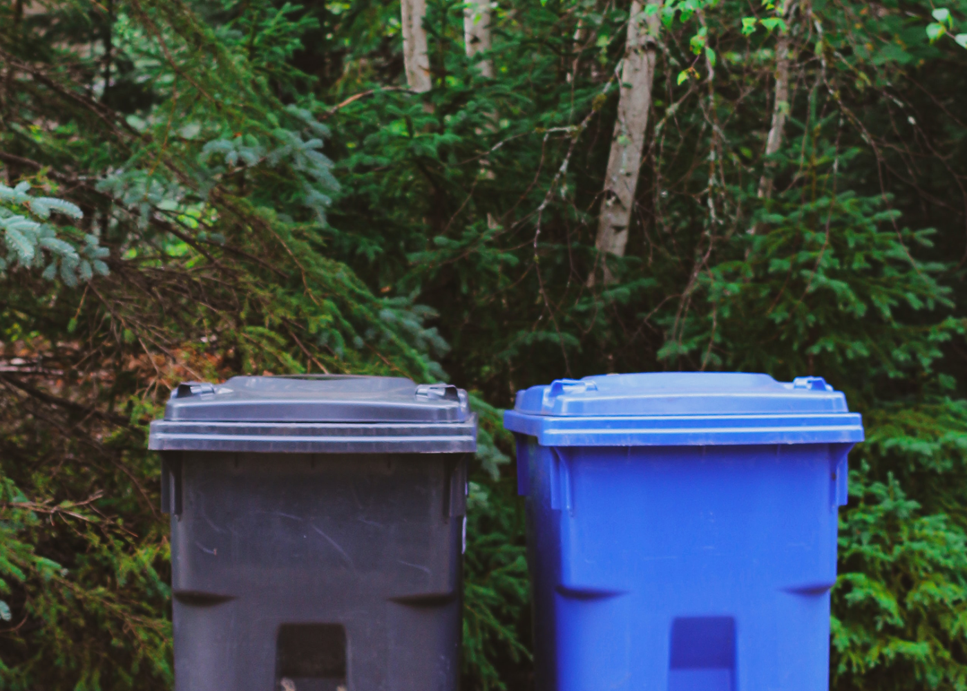 what goes in what bin