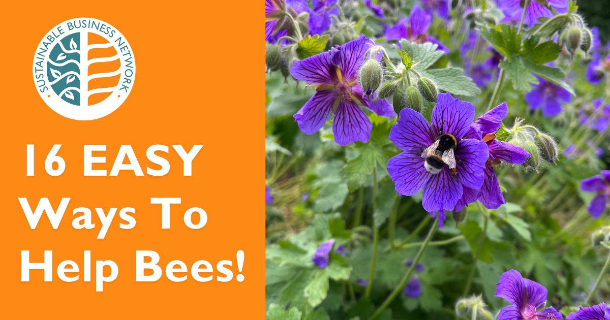16 WAYS TO HELP BEES