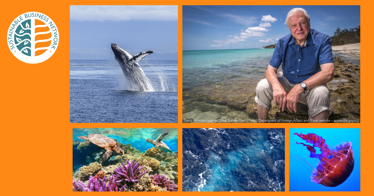 Celebrating the release of Ocean and his 99th birthday David-Attenborough-at-Great-Barrier-Reef-Photo-Department-of-Foreign-Affairs-and-Trade-website-–-www.dfat_.gov_.au_.jpg