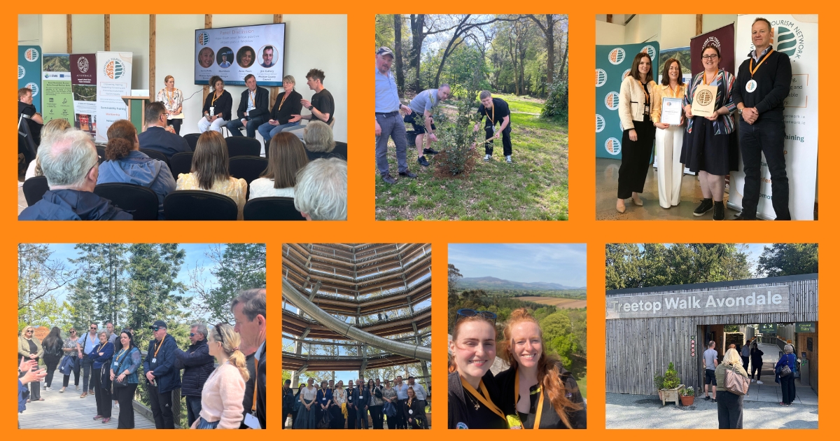 Images of people talking, visitng Beyond the Trees Avondale and planting trees at the Wicklow Sustainability Networking Event