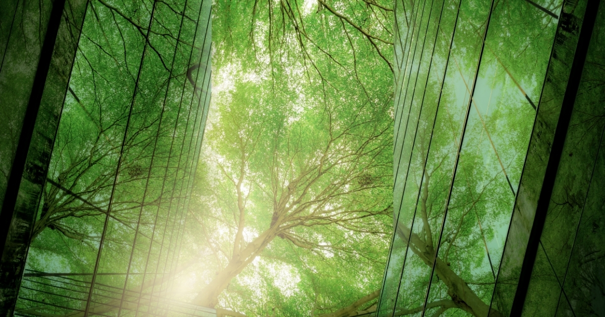 Picture of trees between two glass buildings and their reflections on the glass windows