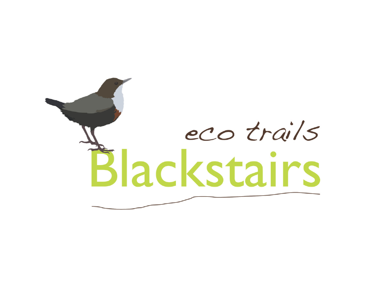 Blackstairs eco trails