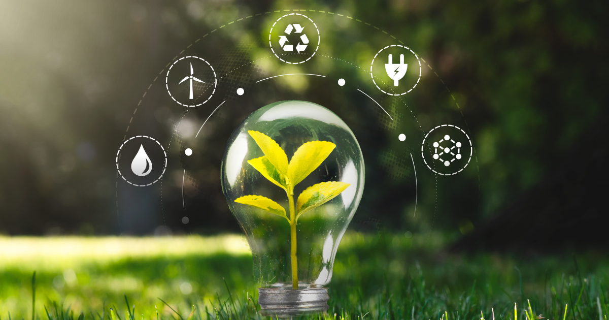 Lightbulb in grass